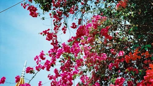 นคร-สวรรค์ Bild 4