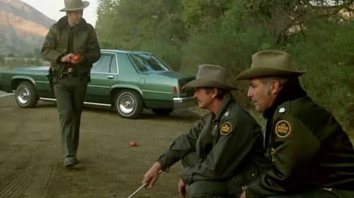 Der Grenzwolf Bild 6