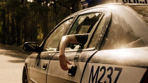 Nobody Sleeps in the Woods Tonight 2 Bild 3