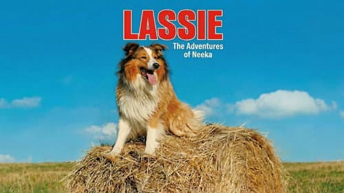 Lassie und ihr Freund Neeka Bild 2