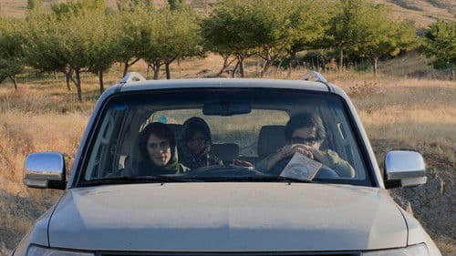 Drei Gesichter Bild 4