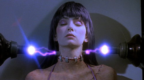 Frankenhooker - Verschraubt und Genagelt Bild 8