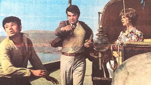 Saadet Güneşi Bild 2