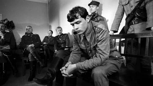 Wierne blizny Bild 4