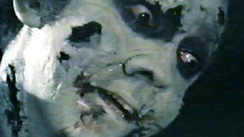 Die Nacht der Zombies Bild 2