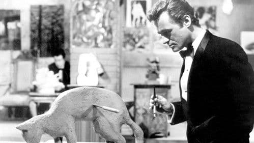 Das Vermächtnis des Professor Bondi Bild 3