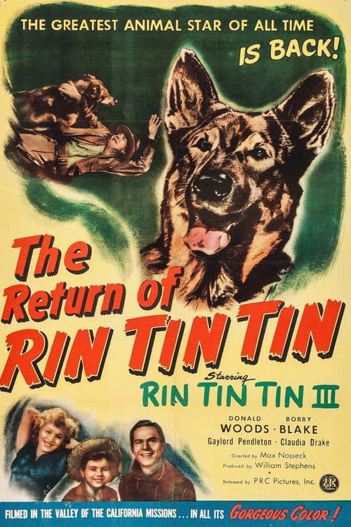 Rin Tin Tin - Die Rückkehr