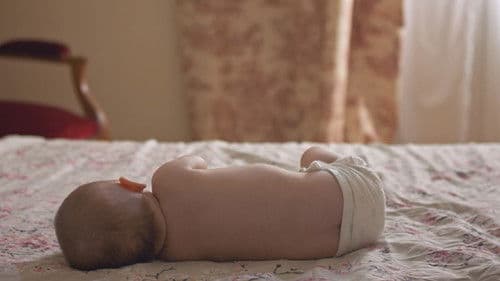 Le rêve des cigognes Bild 2