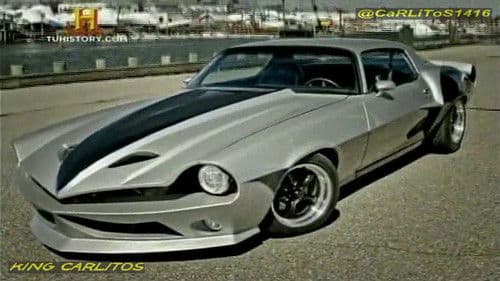 Leepu & Pitbull Bild 3