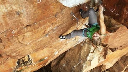 Africa Fusion Bild 1