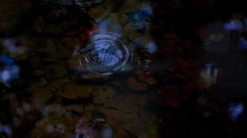 Amygdala Warrior Bild 1