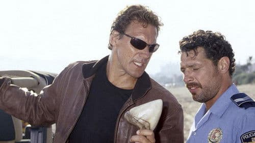 Hai-Alarm auf Mallorca Bild 2