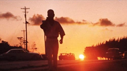 網走番外地 南国の対決 Bild 1