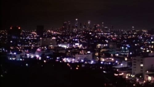 Body Shot - Ums nackte Überleben Bild 2