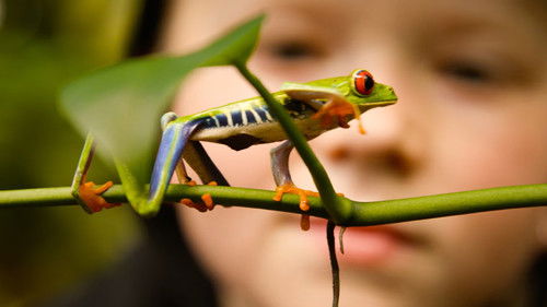 Jonahs dyreverden Bild 3