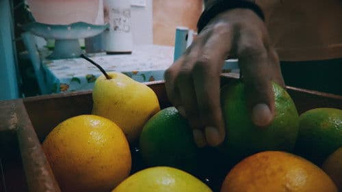 Laranja Orgânica Bild 1