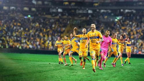 Tigres: La historia perfecta Bild 1