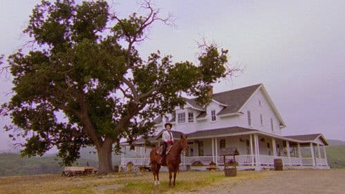 The Nowhere Inn Bild 6