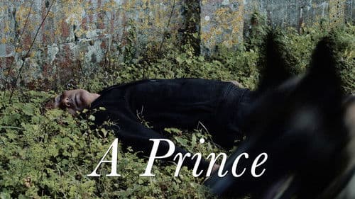 Un prince Bild 3
