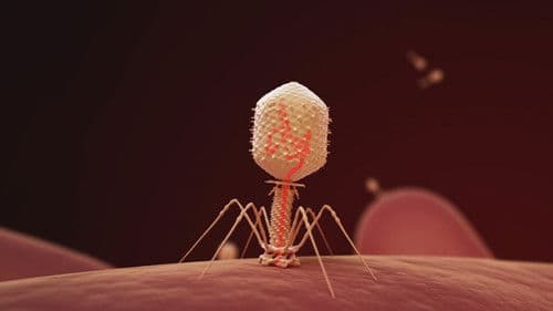 The Virus Within Us Bild 3