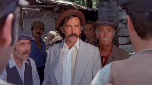 Şark Bülbülü Bild 7