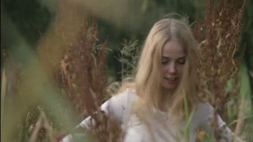 スェーデン・ポルノ　欲情初体験 Bild 3