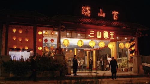 Triaden – Die chinesische Mafia auf dem Vormarsch Bild 5