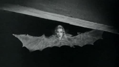 El mundo de los vampiros Bild 3