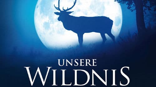 Eine Welt aus Wäldern Bild 1