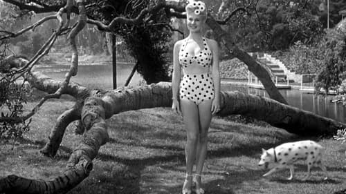 Having Wonderful Crime Bild 8