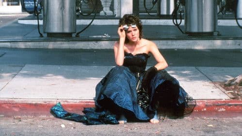 Traumfrau vom Dienst Bild 2