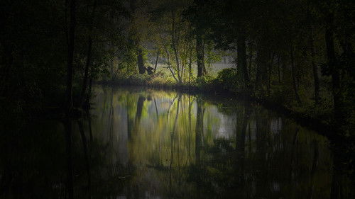 Spreewaldkrimi Bild 3