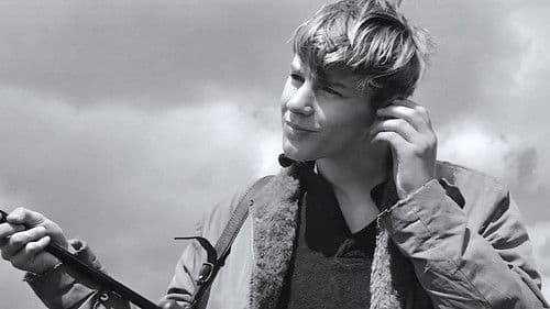 Pojken i trädet Bild 2