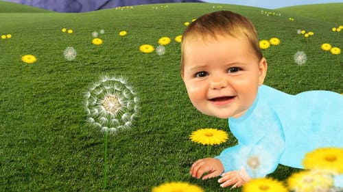 Baby Jake Bild 1
