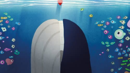 Drôle de poisson Bild 5