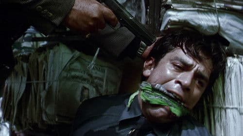 Amores perros Bild 7