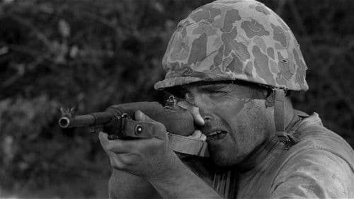 Stoßtrupp Saipan Bild 5