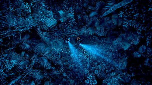 ಗಂಧದ ಗುಡಿ Bild 4