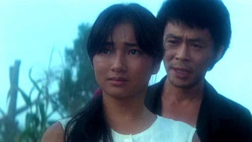 앵무새 몸으로 울었다 Bild 2