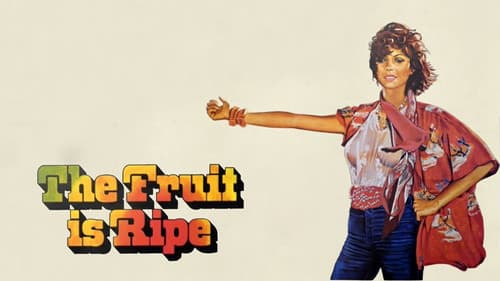 Griechische Feigen Bild 4