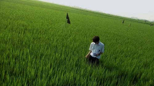 All About Lily Chou-Chou Bild 7