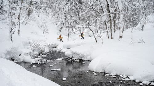 The Meaningless Pursuit of Snow Bild 1