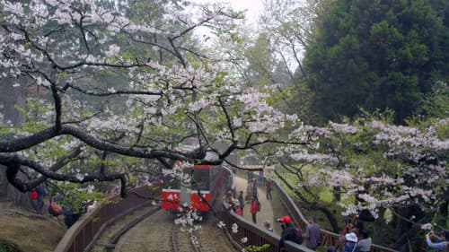 美力台灣3D Bild 5