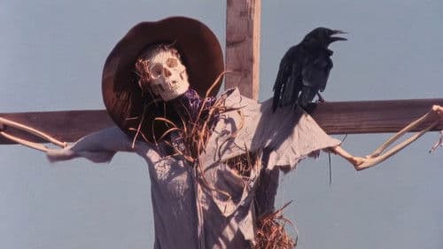 The Night of the Crow Bild 1