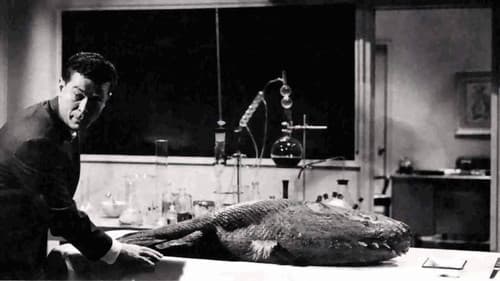 Der Schrecken schleicht durch die Nacht Bild 1