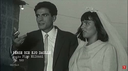 Përse bie kjo daulle? Bild 1