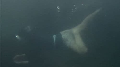 夜這い海女 Bild 6