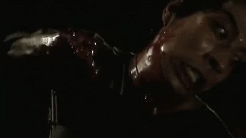 実録　柳川組２　西日本征圧　報復 Bild 1