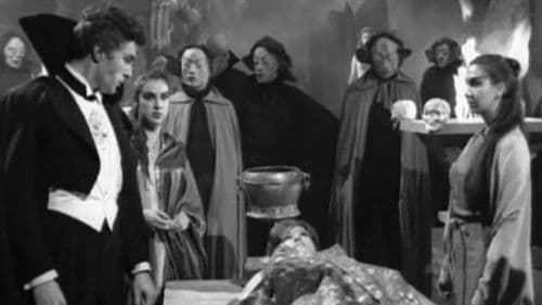 El mundo de los vampiros Bild 1