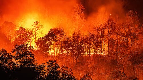 On Fire - Der Feuersturm Bild 4